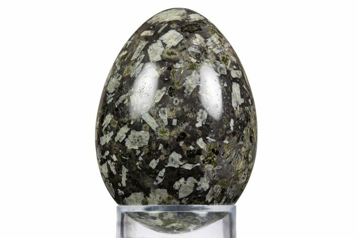 Polished Chinese Writing Rock Egg - Utah #334120